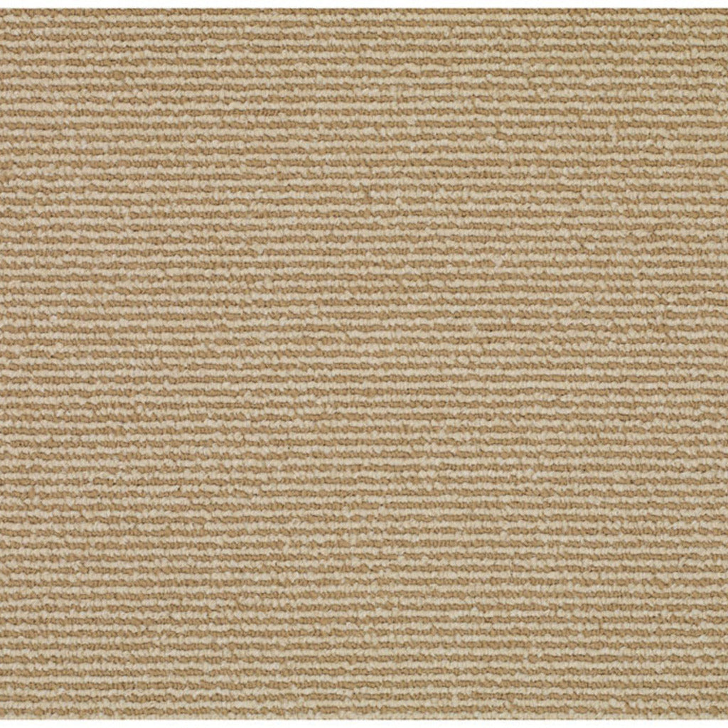 Shoal Sisal-BD No Color