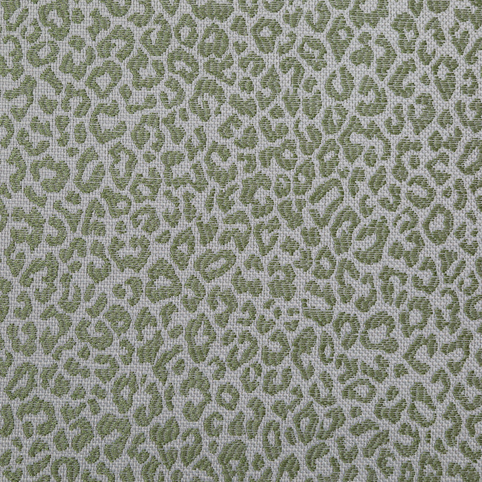 Lucca Kiwi - Retreat Home Furniture