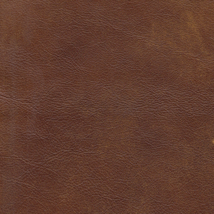 Hancock and Moore Leather Swatches – Apache Tobacco Unprotected, Class 2