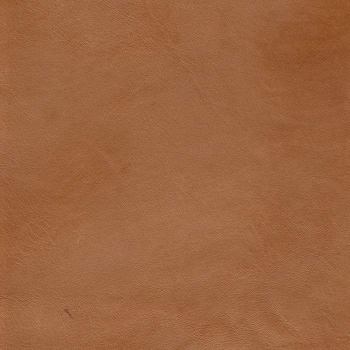 Cameo Luggage Burnished Unprotected, Class 4 - Retreat Home Furniture