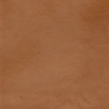 Cameo Luggage Burnished Unprotected, Class 4 - Retreat Home Furniture