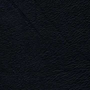 Caress Black Protected, Class 3 - Retreat Home Furniture
