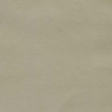 Caress Taupe Protected, Class 3