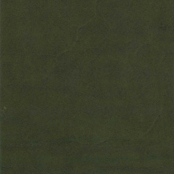 Carver Olive Unprotected, Class 7