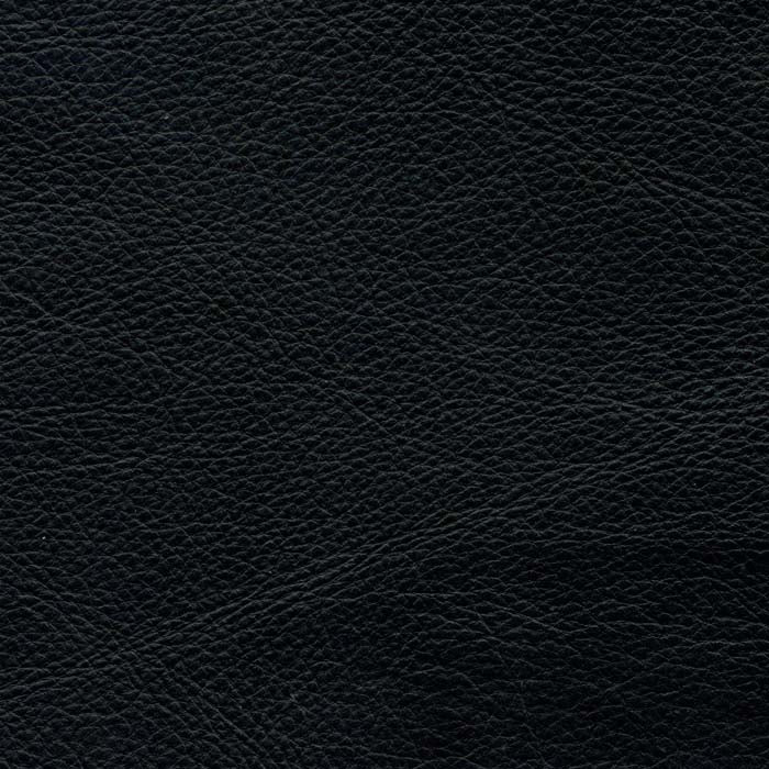 Cavalier Ebony Protected, Class 3