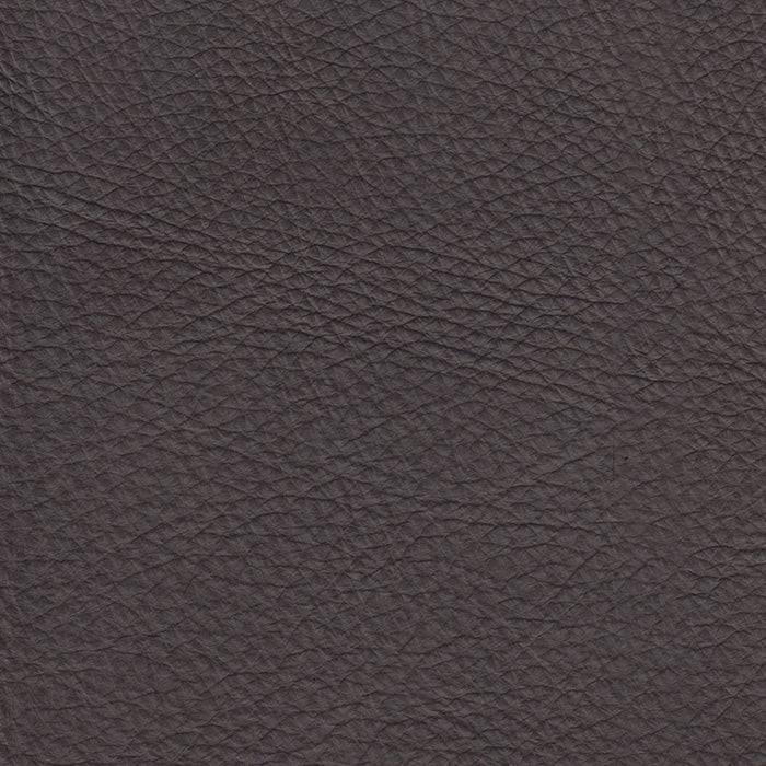 Champion Truffle Protected, Class 2 - Retreat Home Furniture