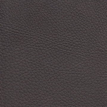 Champion Truffle Protected, Class 2 - Retreat Home Furniture