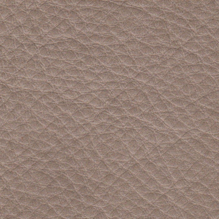 Coast Taupe Protected, Class 2