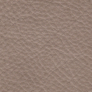 Coast Taupe Protected, Class 2