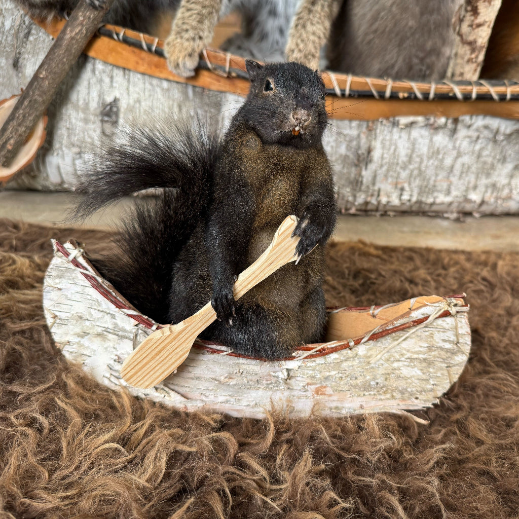 Squirrel in a miniature birch bark canoe on a fur-like surface