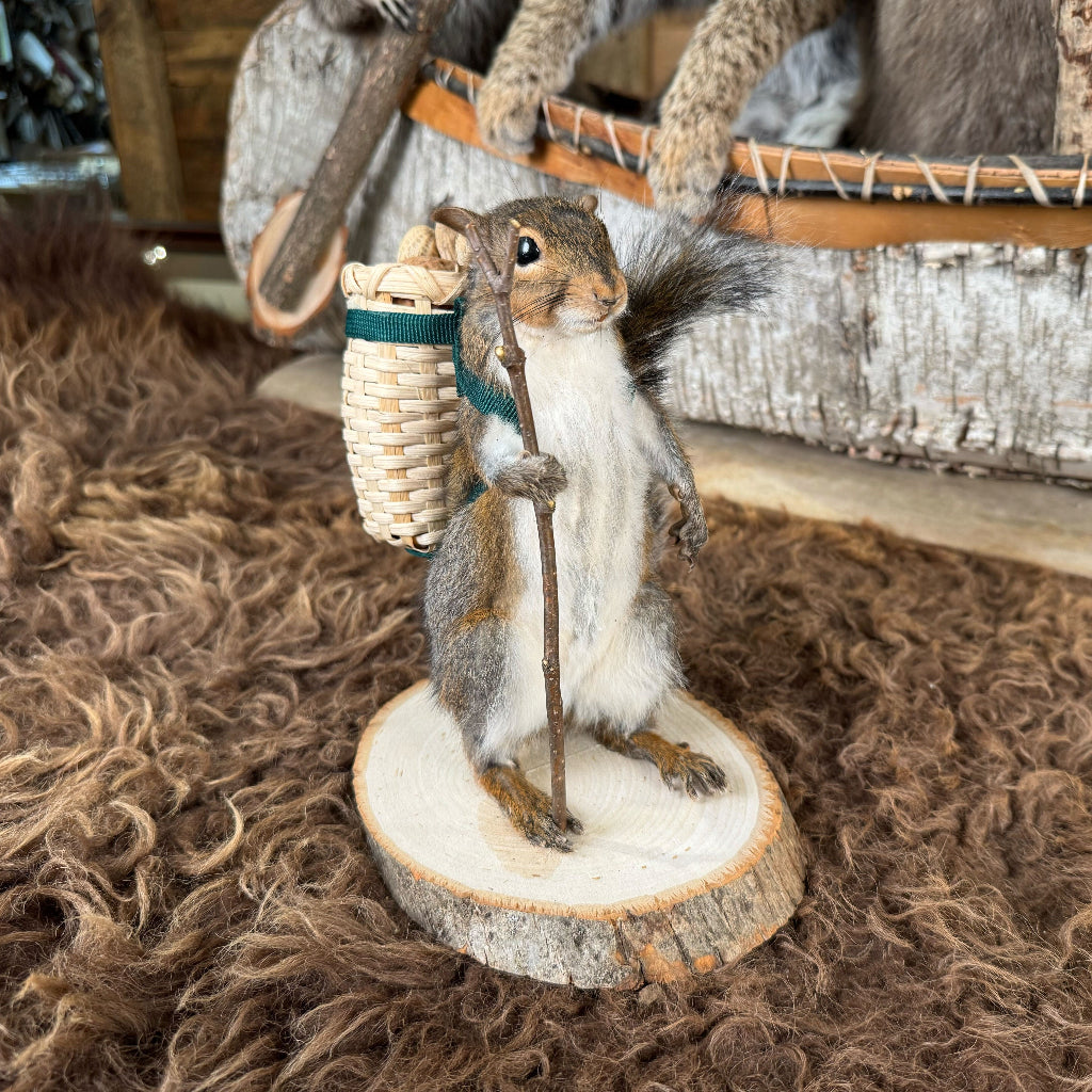 Decorative squirrel figurine on a wooden base with a natural setting
