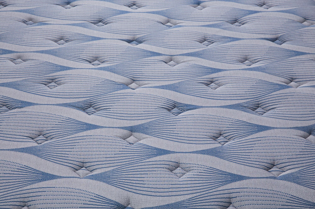 Delani Meadows Plush Mattress - Retreat Home Furniture