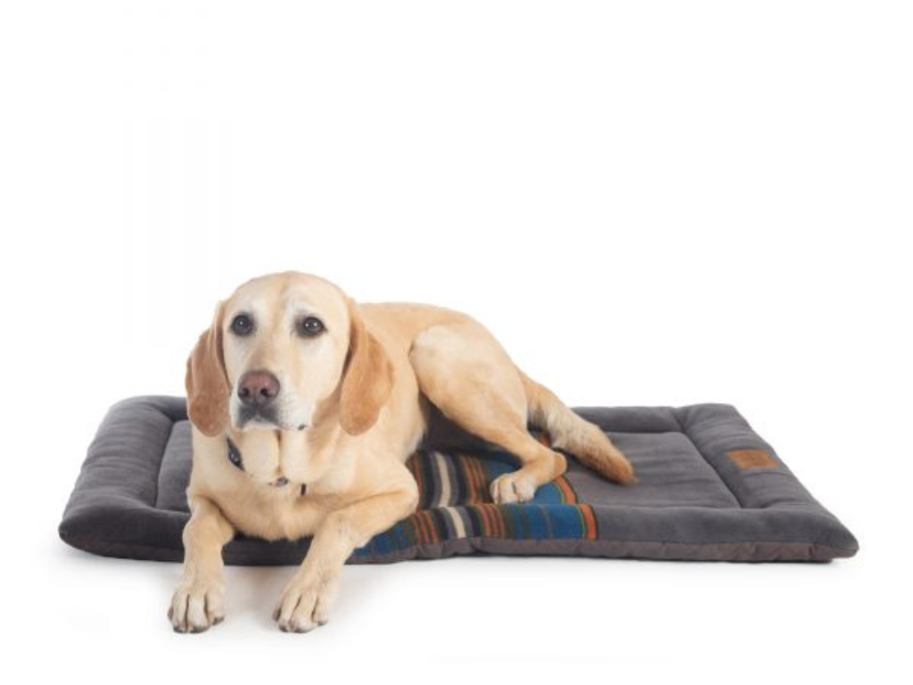 Olympic National Park Comfort Cushion – Dog Cushion