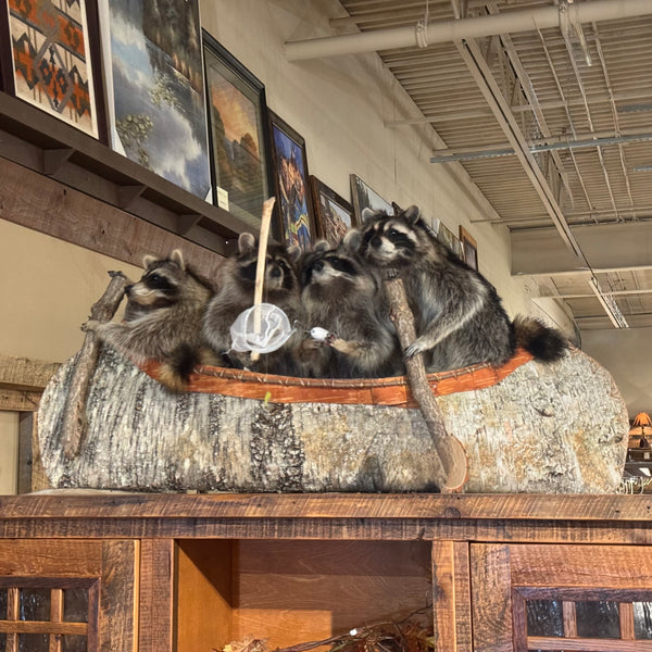 Decorative display of raccoons in a canoe on a wooden shelf with framed pictures in the background.