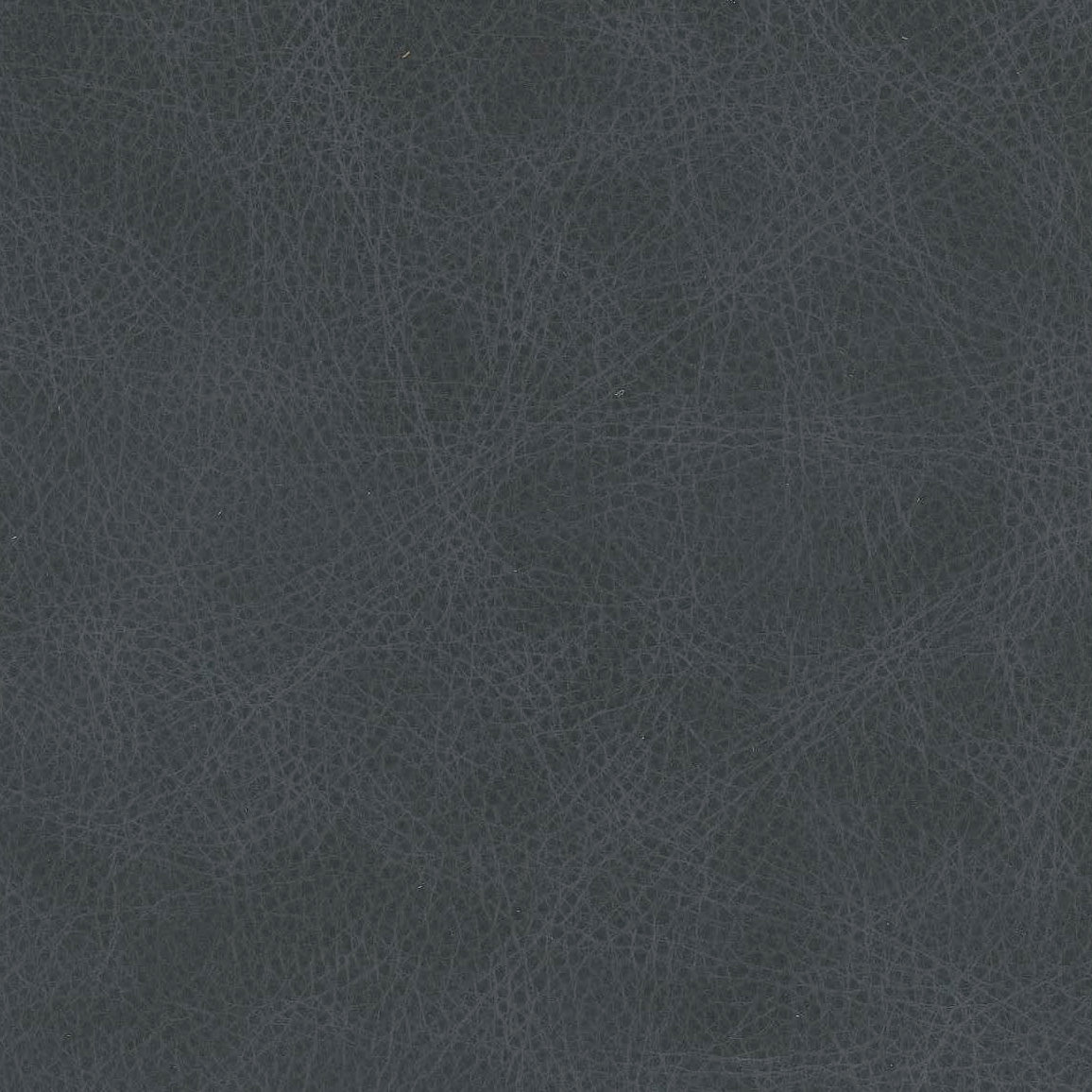 Waylon Color Waylon Navy Protected, Class 1 | Sample