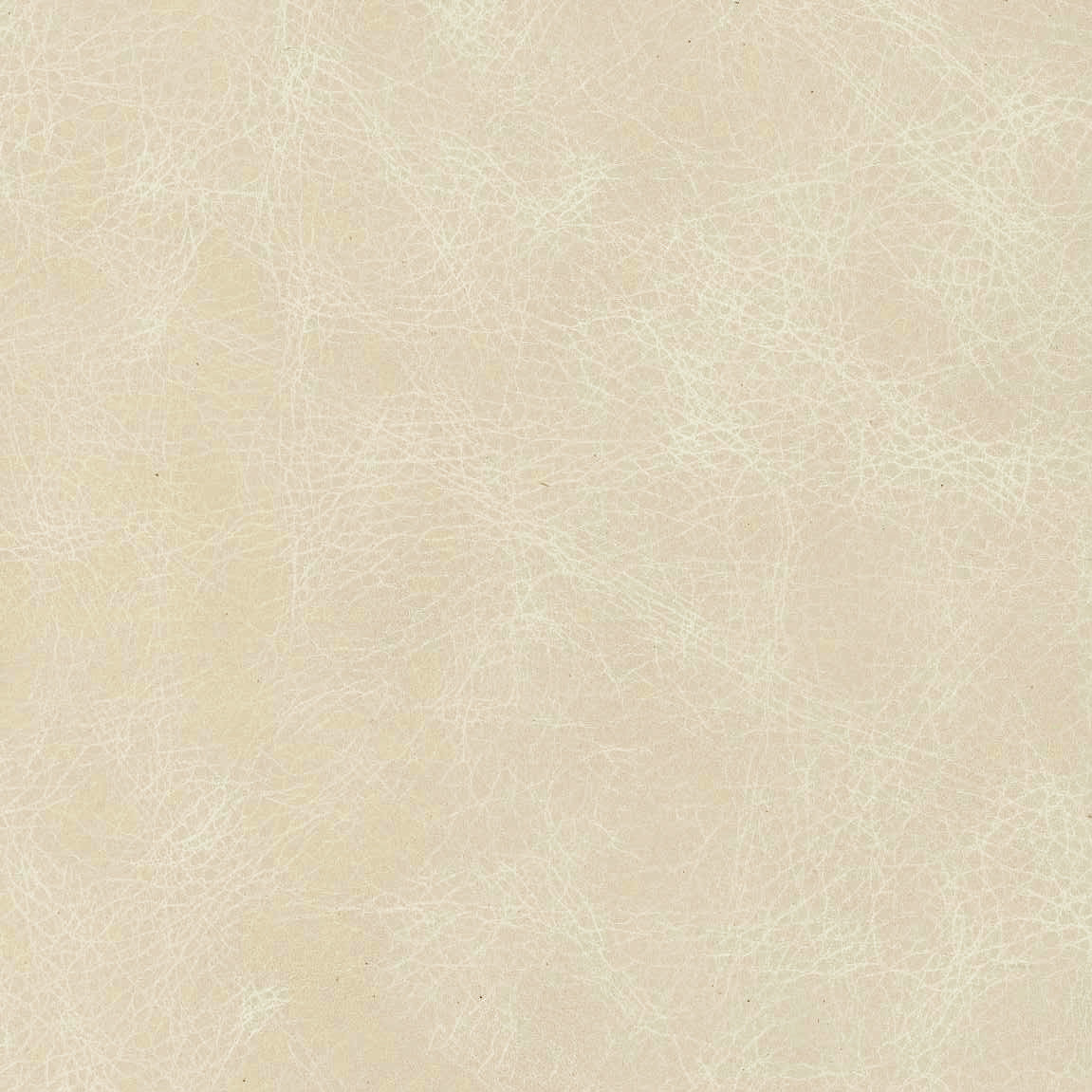 Waylon Pearl Protected, Class 1 | Sample