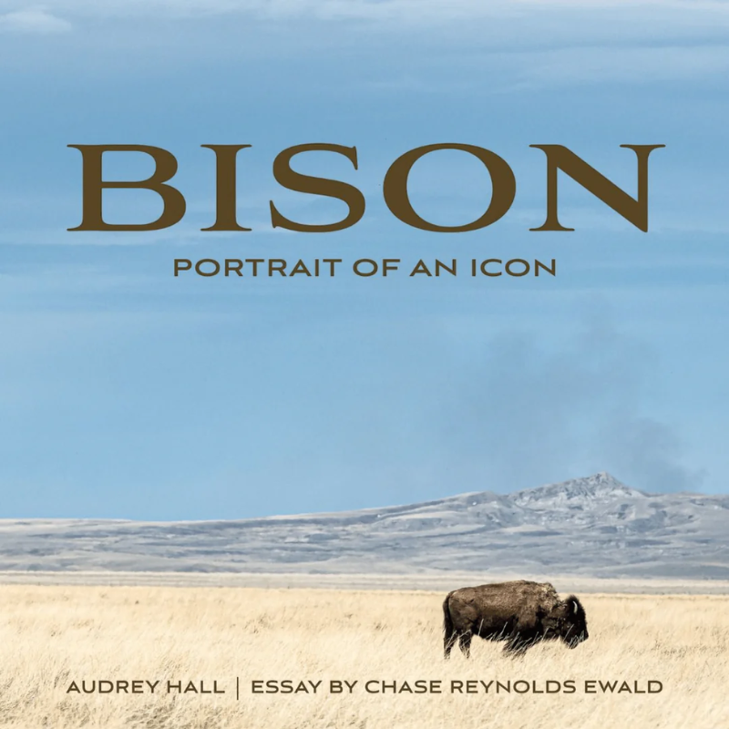 Bison: Portrait of an Icon - Coffee Table Book
