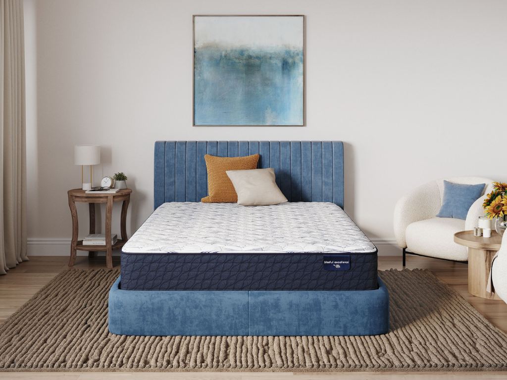 Chandy Bay Firm Mattress - Retreat Home Furniture