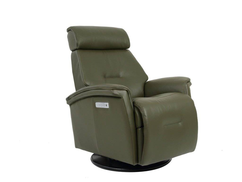 Rome Reclining Swing Relaxer Motorized - Retreat Home Furniture