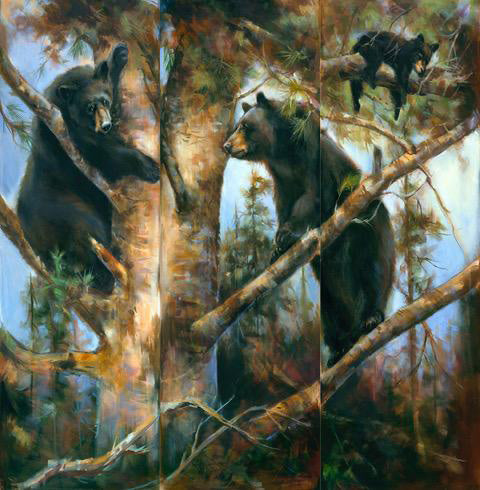 Bear Tryptych