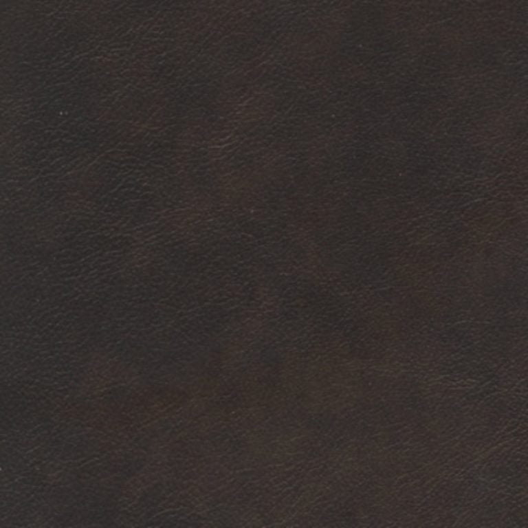 Molasses | Leather - Retreat Home Furniture